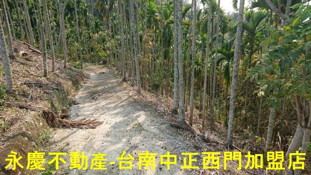 台南白河林地-9