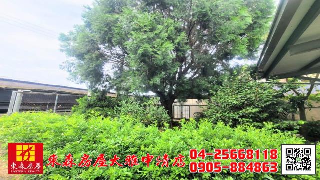 台中新社農地-10