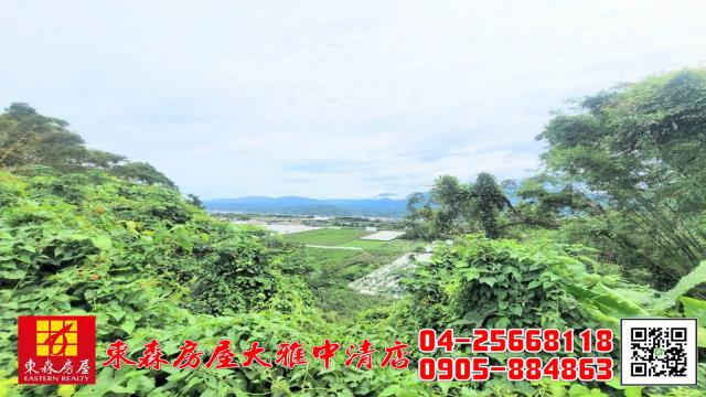 台中新社農地-12