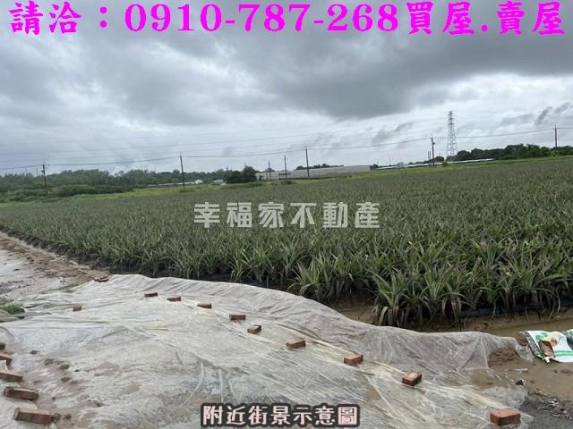 台南山上農地-12