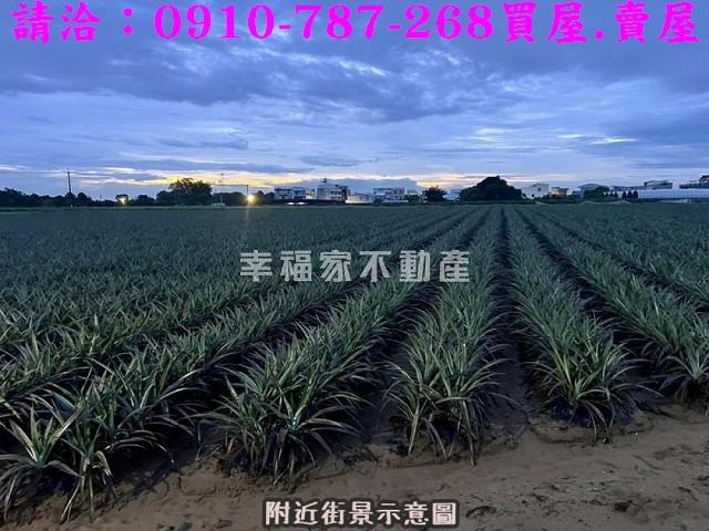 台南山上農地-3