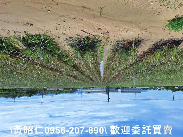 山上農地-5