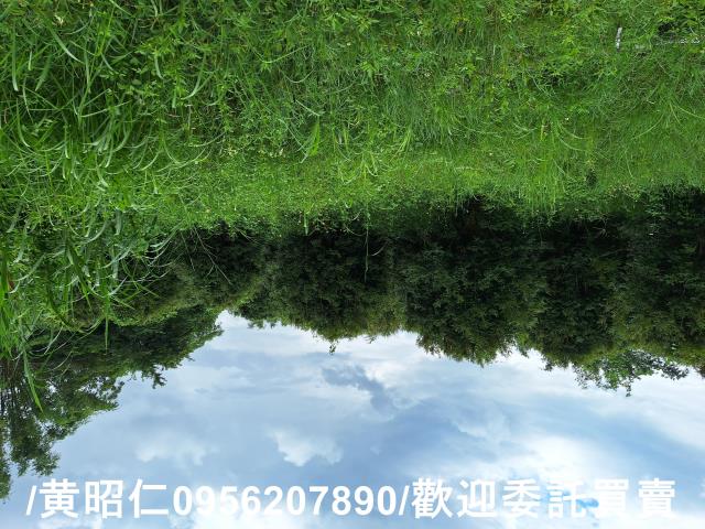 台南左鎮農地-2