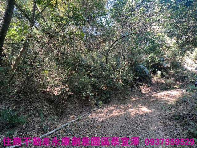 左鎮農地-1
