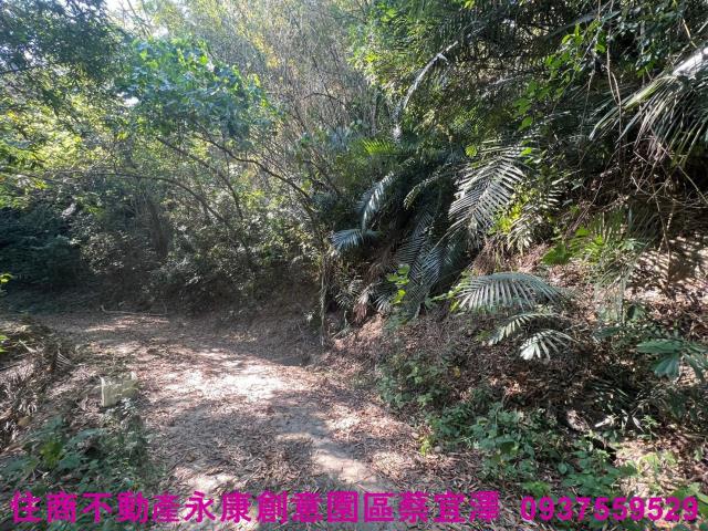 左鎮農地-4