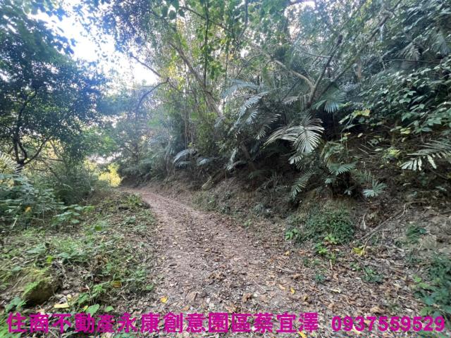 左鎮農地-5