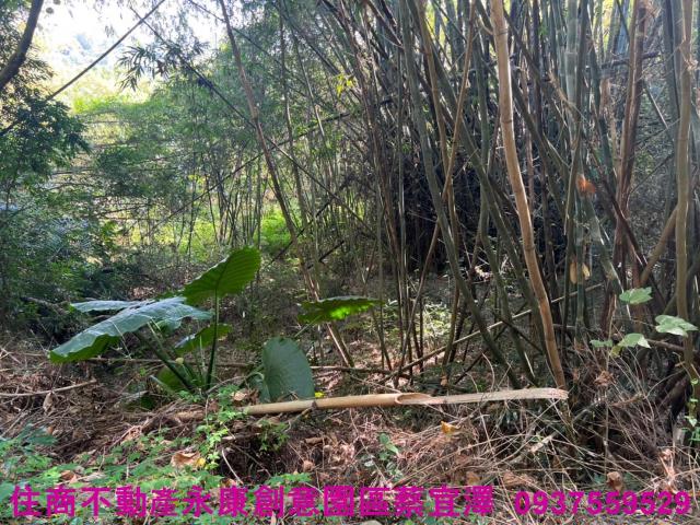 左鎮農地-8