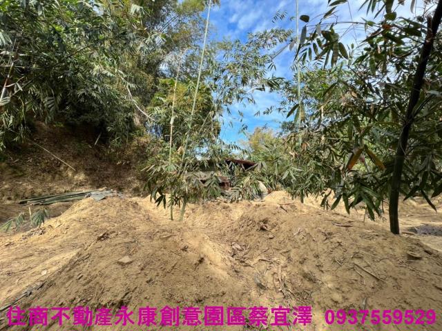 左鎮農地-1