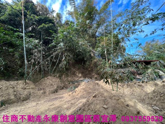左鎮農地-2