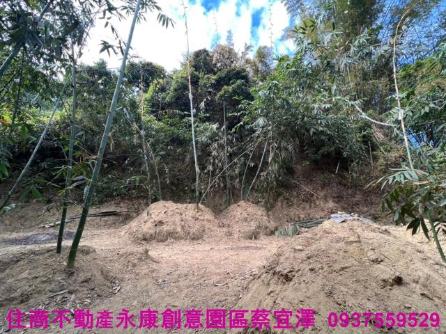左鎮農地-3