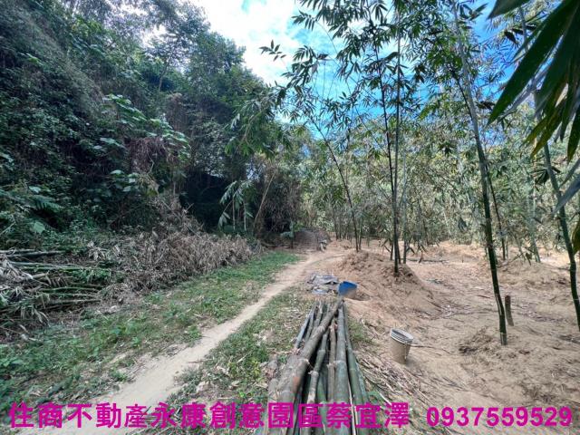 左鎮農地-4