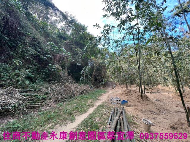 左鎮農地-5