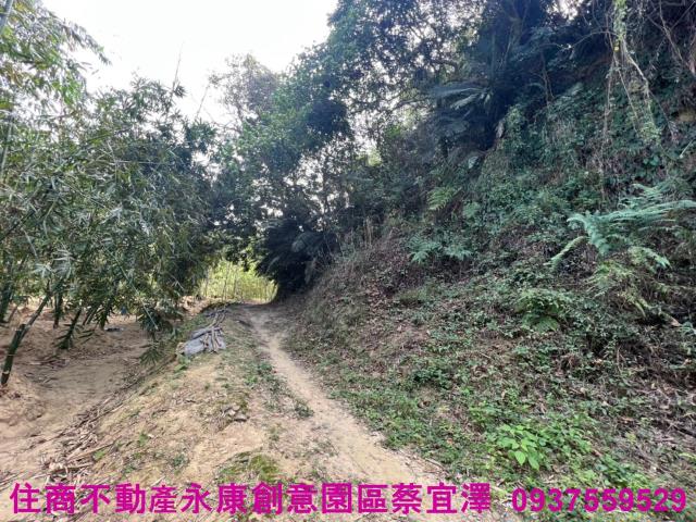 左鎮農地-6