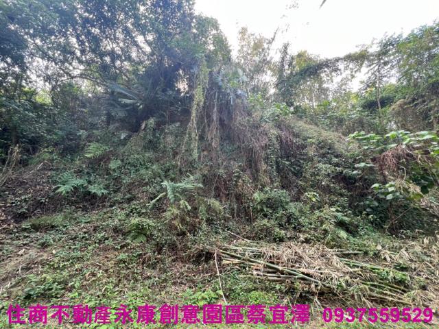 左鎮農地-7