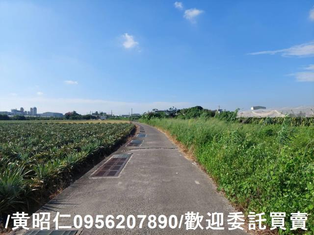 台南山上農地-2