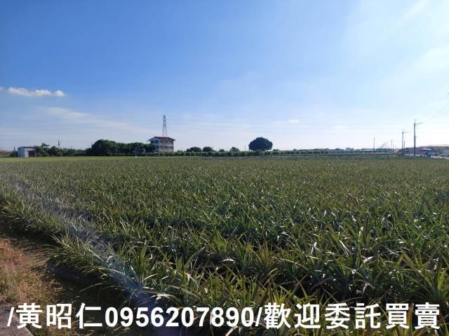 台南山上農地-3