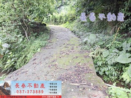 苗栗公館農地-10