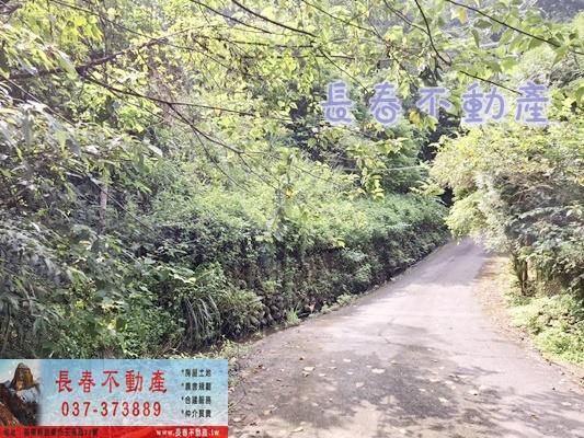 苗栗公館農地-5
