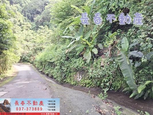 苗栗公館農地-6