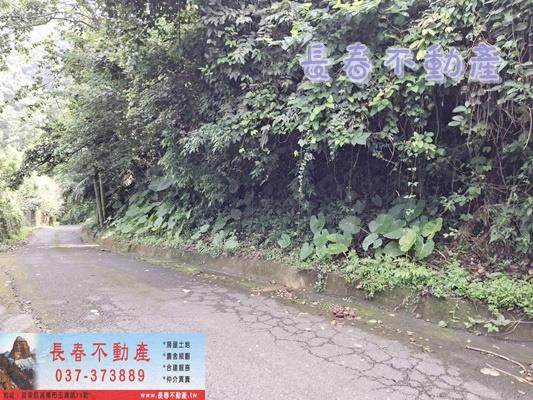 苗栗公館農地-8