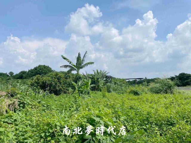 台南大內農地-2