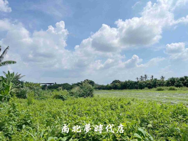台南大內農地-5