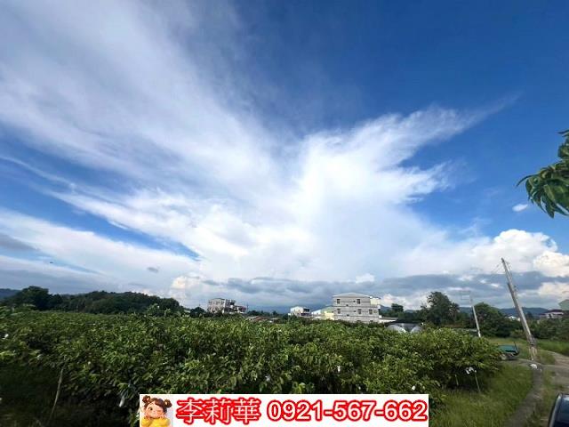 玉井農地-6