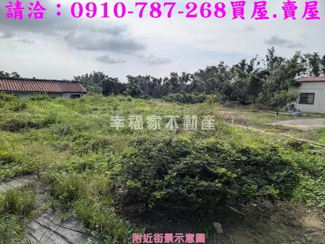 關廟農地-10