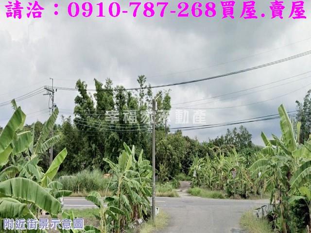 左鎮農地-11