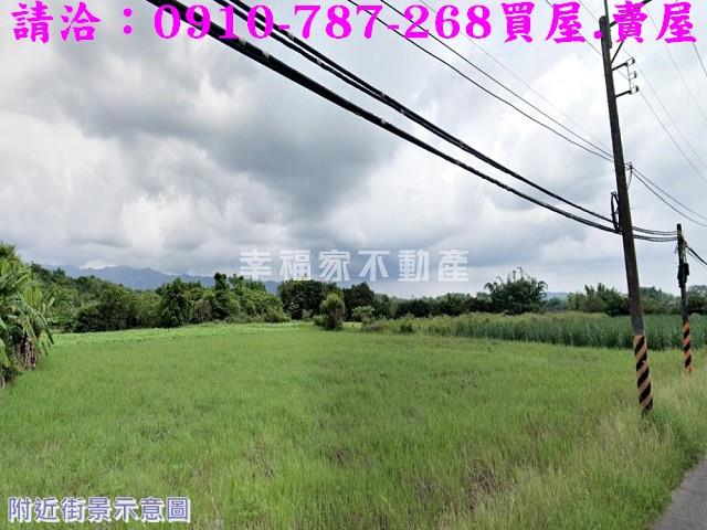 左鎮農地-5