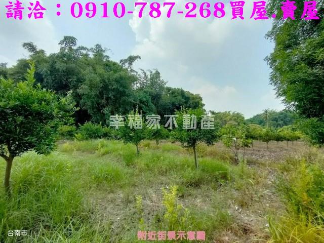 台南新化農地-7