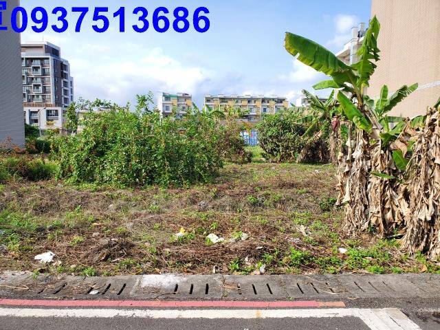 宜蘭建地-1