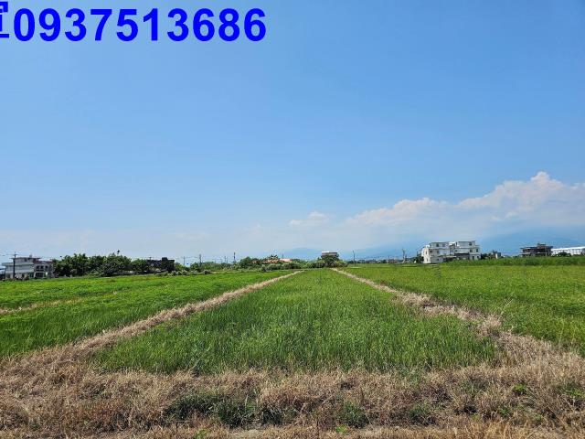 宜蘭壯圍農地-1