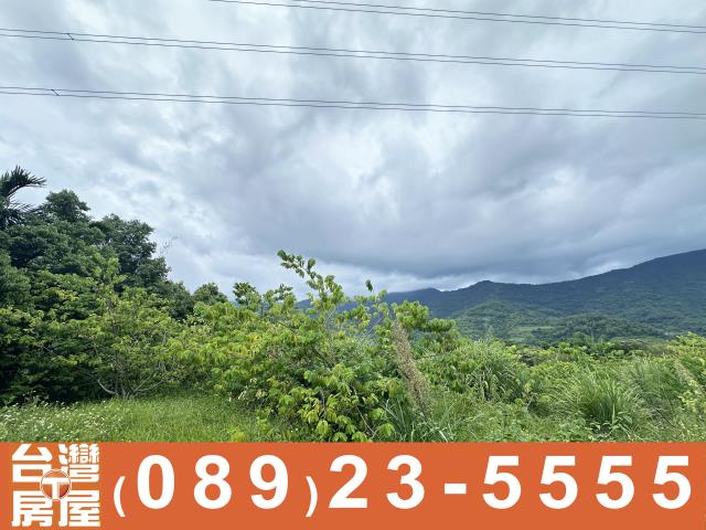 台東卑南農地-7