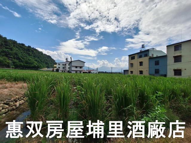 埔里農地-3