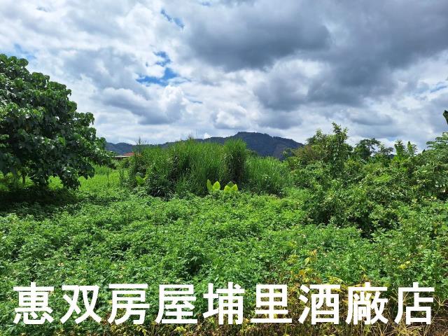 埔里農地-3