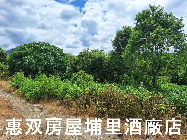 埔里農地-4