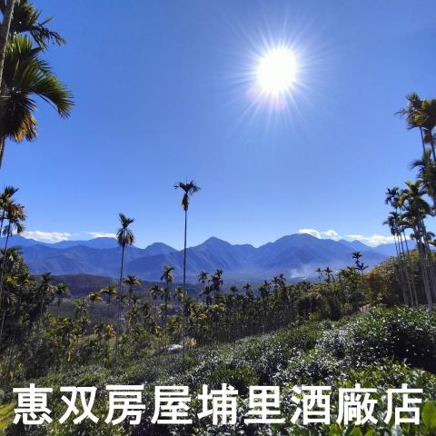 魚池農地-4