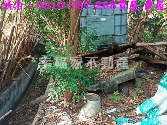 台南新化農地-8