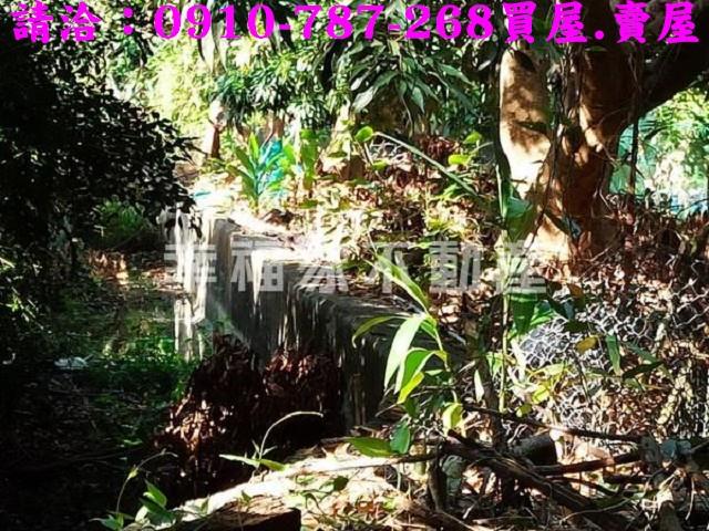 台南新化農地-9