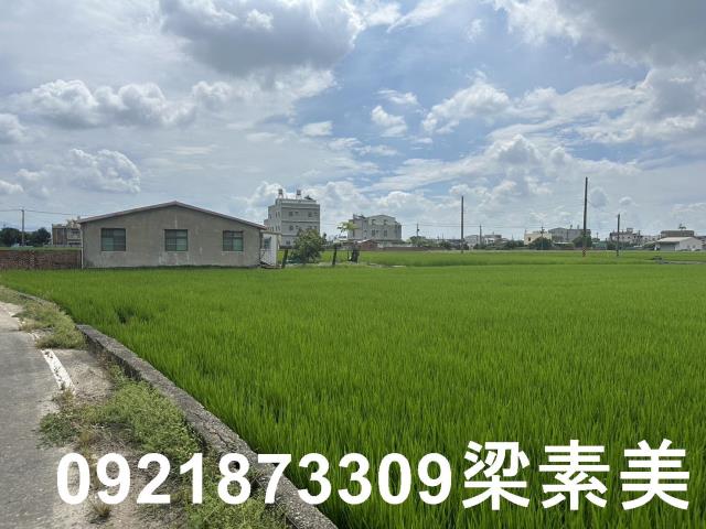 台南農地-11