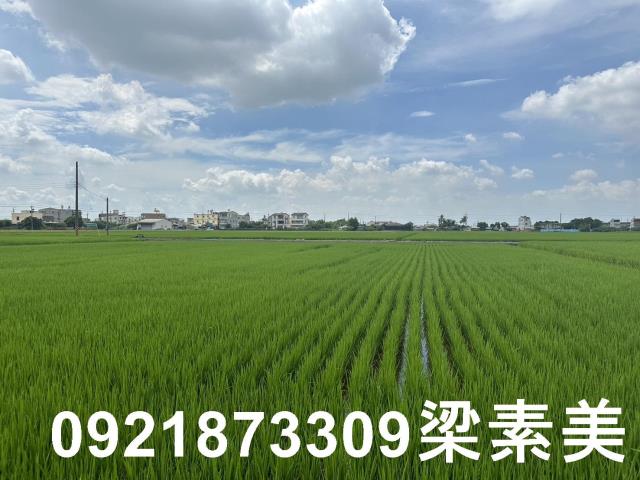台南農地-9