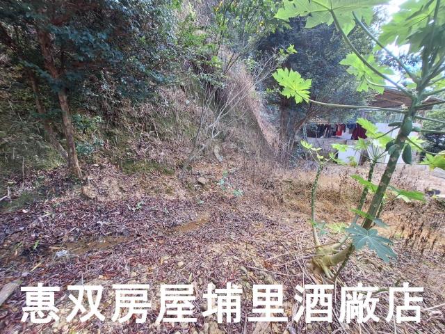 埔里建地-1