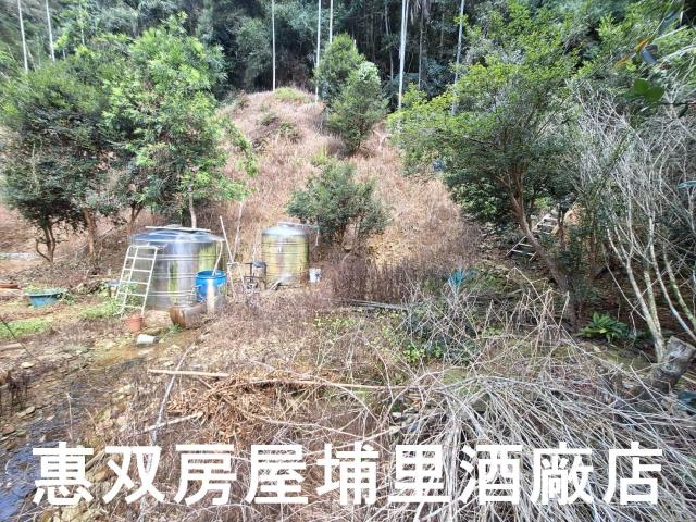 埔里建地-2