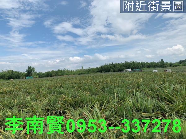 台南農地-4