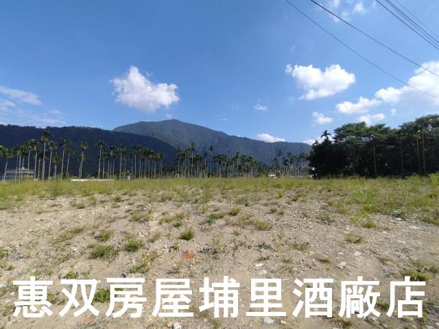 埔里農地-1