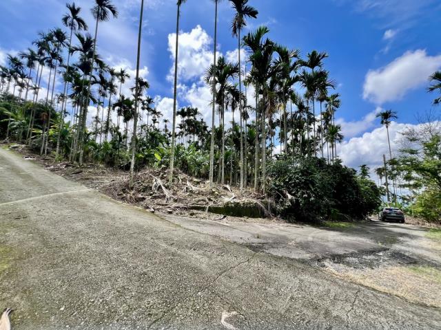 中寮農地-5
