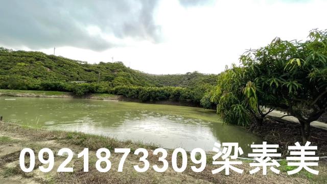 玉井農地-6