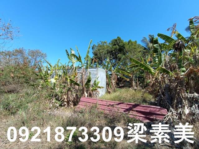 台南農地-5