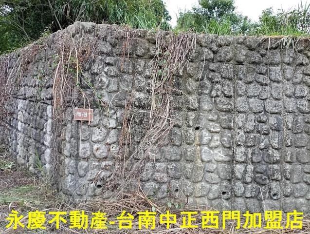 台南楠西農地-6